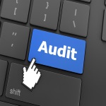 Working with a Website Auditr